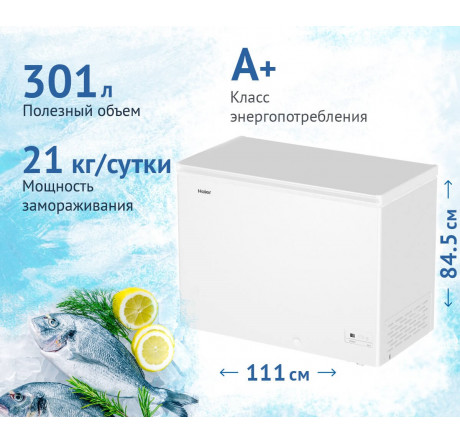 Haier HCE301R белый Морозильный ларь  HAIER - porhov-experts.ru – фото 1