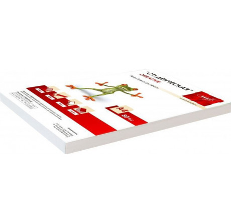 WHITE 100 Бумага A4/80г/м2/100л./белый матовое общего назначения(офисная) Creative - porhov-experts.ru – фото 1